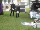 Manifestation contre le groupe Harlan a Brighton le 09/03/2013