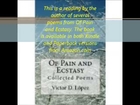Of Pain and Ecstasy Excerpt 2 --  Unsung Heroes and Sample Sonnets