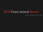 Ladybug - West Coast Animal Rescue