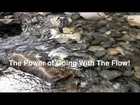 Going With The Flow | Spiritual Center Dallas TX | Call 972-468-1331