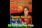 Dil Para Jaan hay Para - Saqlain Rasheed Milad 2014 New Album