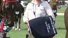 Top Horse TV -  Barastoc 2012 Galloway of the Year